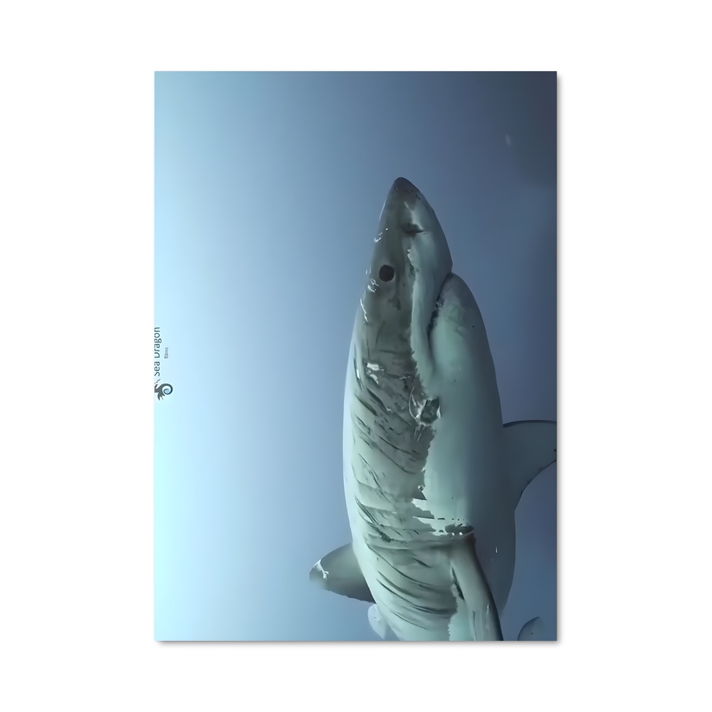 Poster Les Profondeurs Sauvages